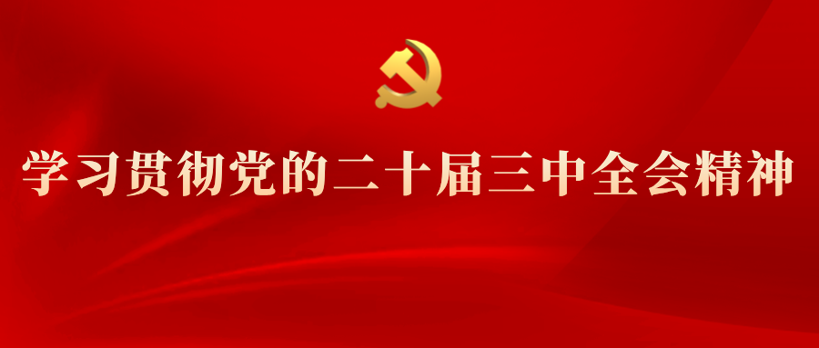 學(xué)習(xí)專(zhuān)欄 | 黨的二十屆三中全會(huì)精神解讀(十一)